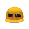 Adult Indiana Pacers 23-24' Statement 9FIFTY Hat in Gold by New Era - Back View