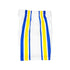 Adult Indiana Pacers '03 Swingman Shorts in White by Mitchell and Ness - Right Side View