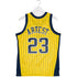 Indiana Pacers Ron Artest Pinstripe Swingman Jersey In Gold & Blue - Back View