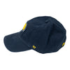 Adult Indiana Pacers Primary Logo Franchise Hat by 47' In Blue & Gold - Left Side View