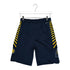 Youth Indiana Pacers Icon Swingman Shorts by Nike - Back View