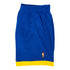Adult Indiana Pacers '04 Swingman Shorts in Royal by Mitchell and Ness in Blue - Right Side View