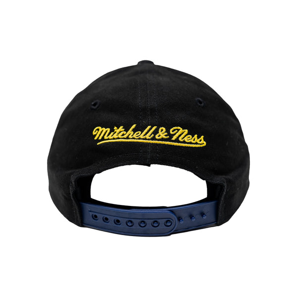 Adult Indiana Pacers Brushed Past Ya Pro Snapback Hat by Mitchell and Ness - Back View