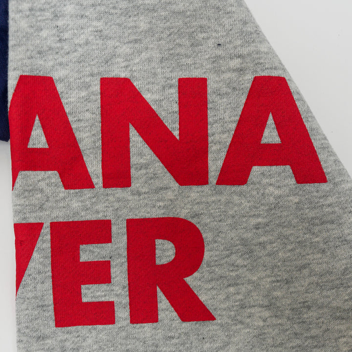 Adult Indiana Fever All Over Print Crewneck Sweatshirt in Grey by Mitchell and Ness