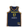 Adult Indiana Fever #17 Erica Wheeler Explorer Swingman Jersey by Nike - Front View