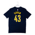 Adult Indiana Pacers #43 Pascal Siakam Icon Name and Number T-shirt by Nike In Blue - Back View