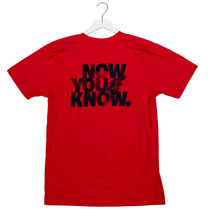 Adult Indiana Fever Script T-shirt in Red by Fever Team Store