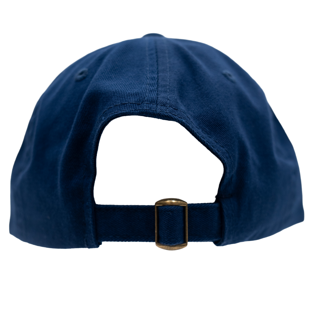 Adult Indiana Fever Primary Logo Hat in Navy by Fever Team Store