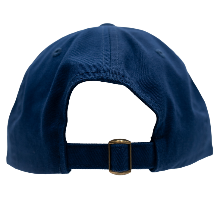 Adult Indiana Fever Primary Logo Hat in Navy by Fever Team Store