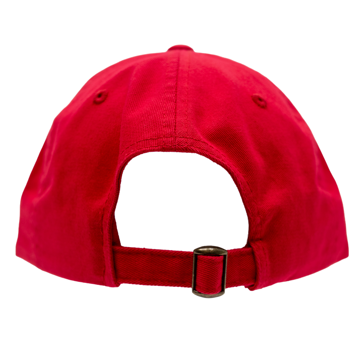Adult Indiana Fever GNS Primary Logo Hat in Red by Fever Team Store