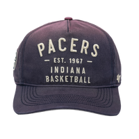 Adult Indiana Pacers 2025 NBA Eastern Conference Champions T-shirt in Grey by Fanatics