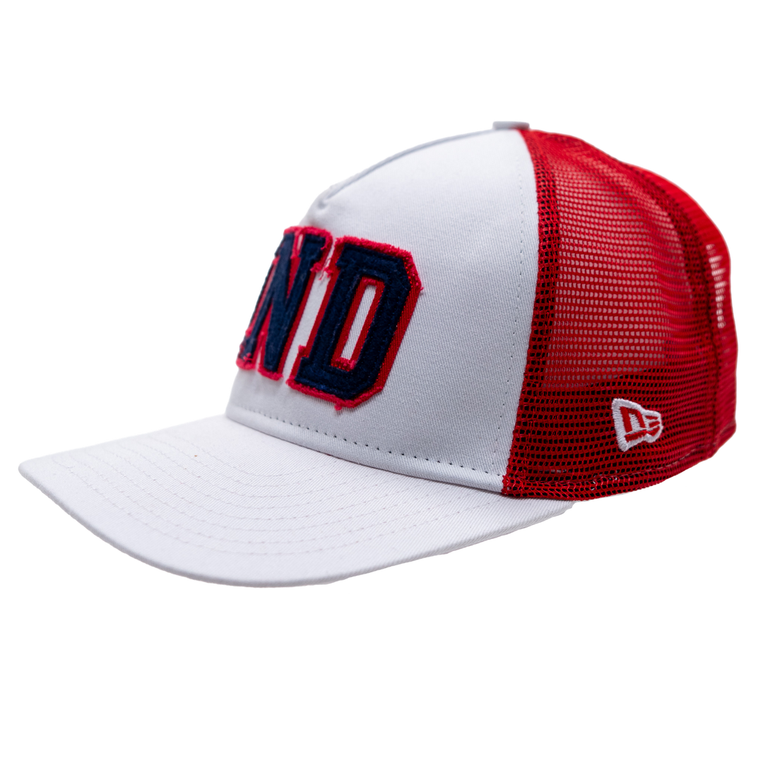 Women's Indiana Fever Winner 9Forty Hat in White by New Era