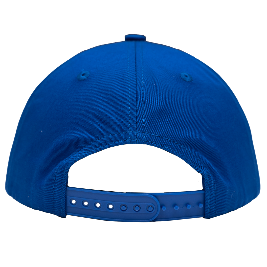 Adult Indiana Pacers Hardwood Classics Vintage Snapback Hat in Royal by Authmade